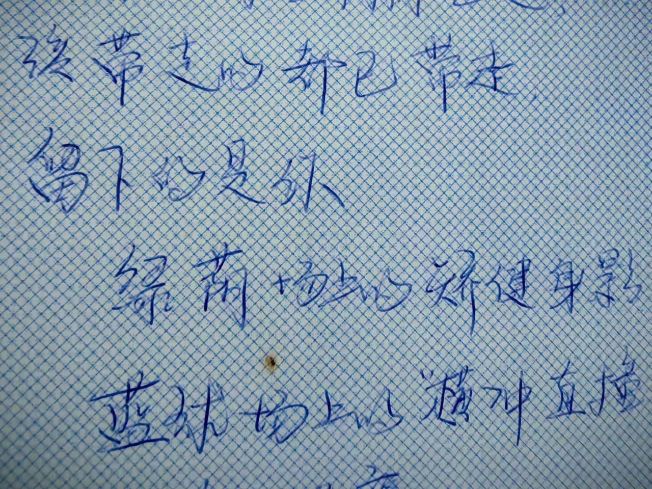 总有你鼓励：大学毕业留言簿。30年前，在即将离开校园之际，同学们给我留言，字里行
