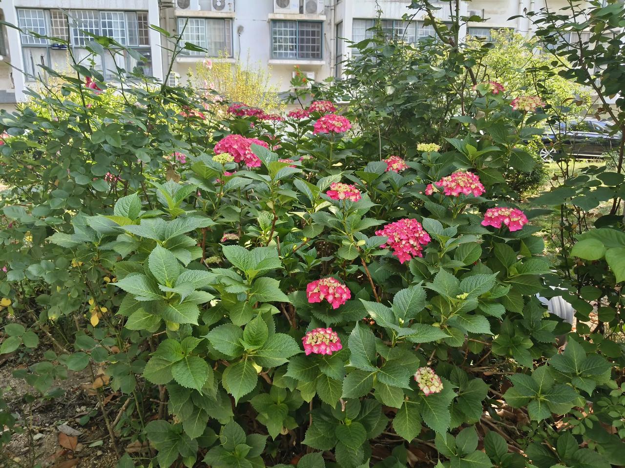 我用“专、转、传”仿写一篇高考作文，大纲是这样。
“专”:考上大学，在大学里面努