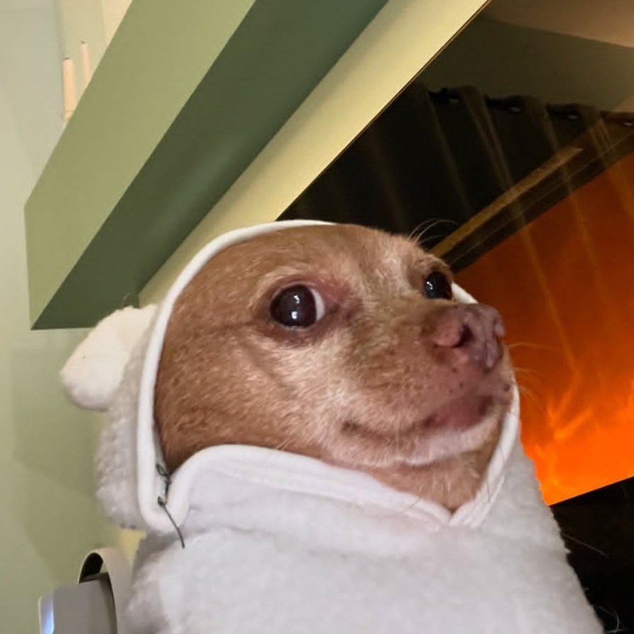 心情是吉好的： 