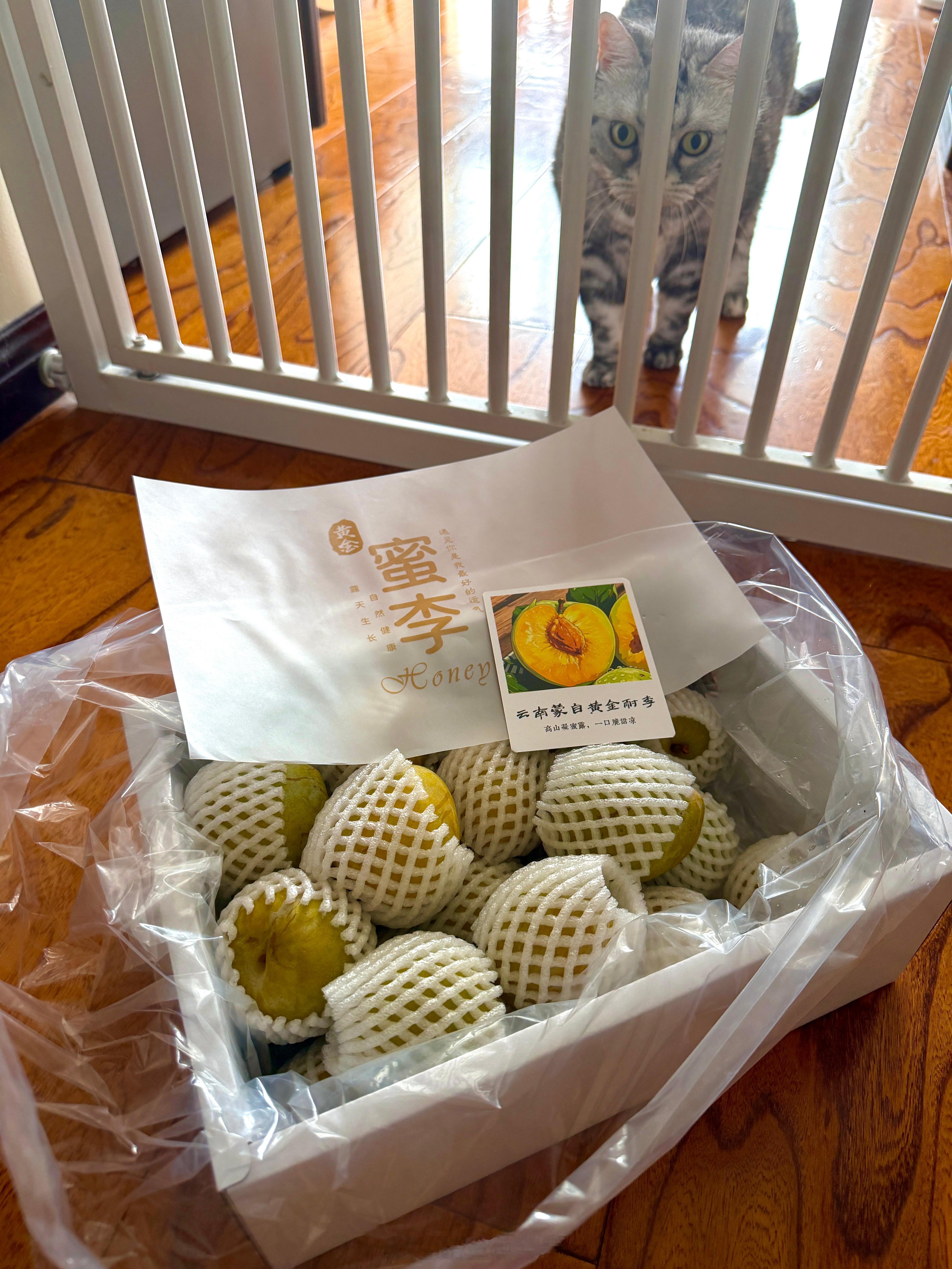 北京碎片 最近云南的水果是不是进入旺季，朋友又寄了奈李过来。我觉得不好意思，想寄