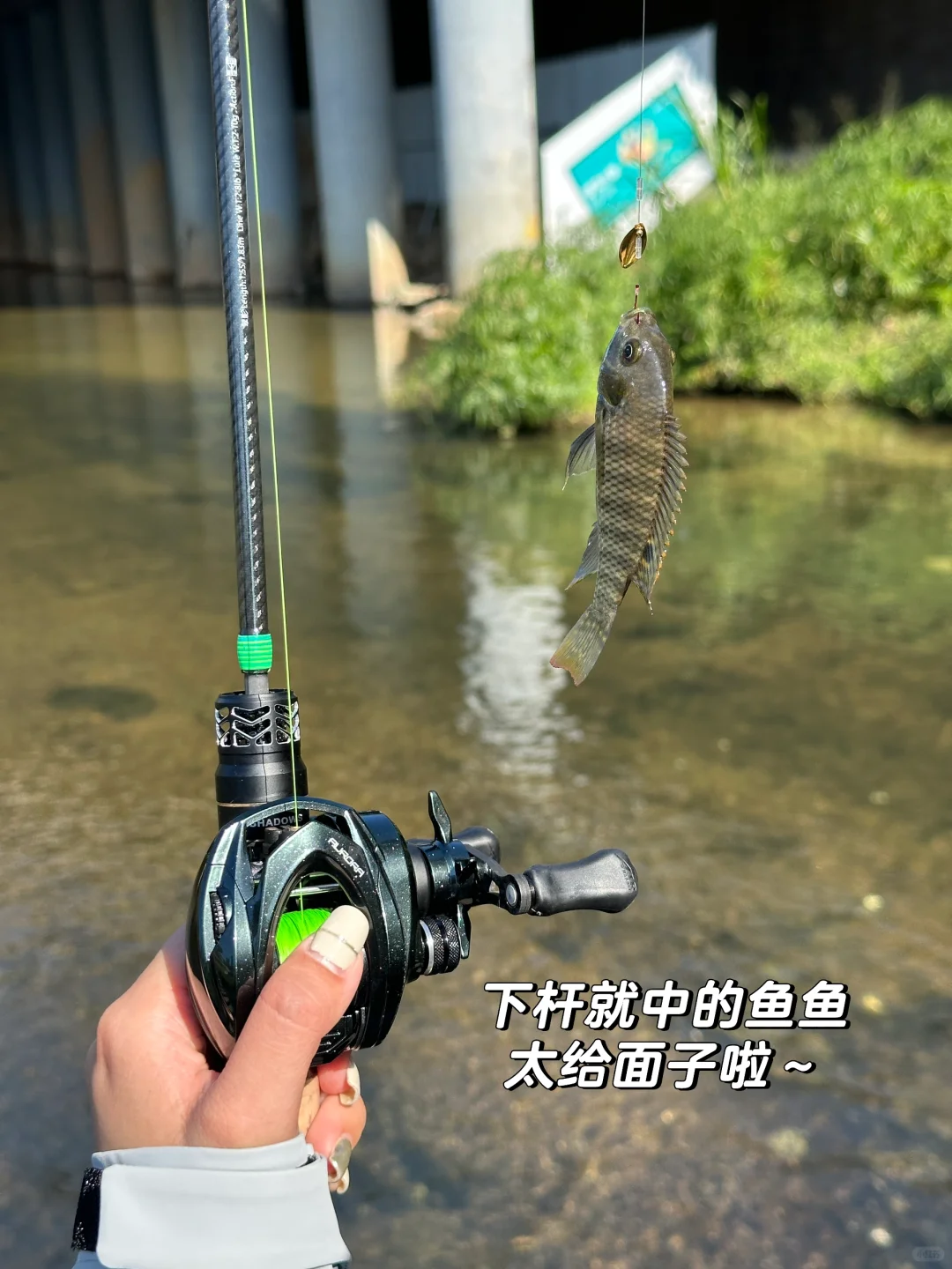 龙岗河🎣我来啦！！！