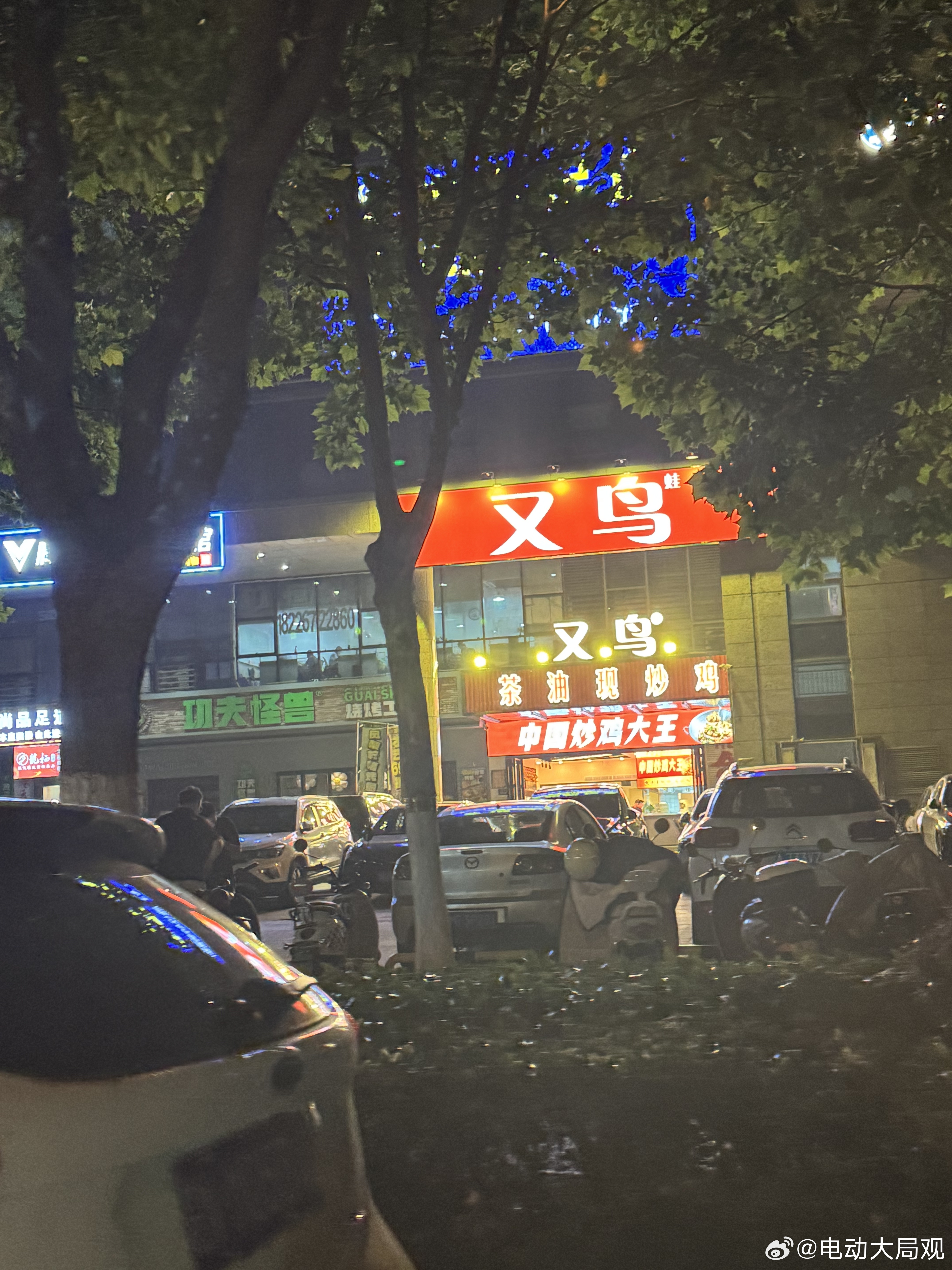 那又鸟不知道它是一只鸡？电动大局观观点不一般