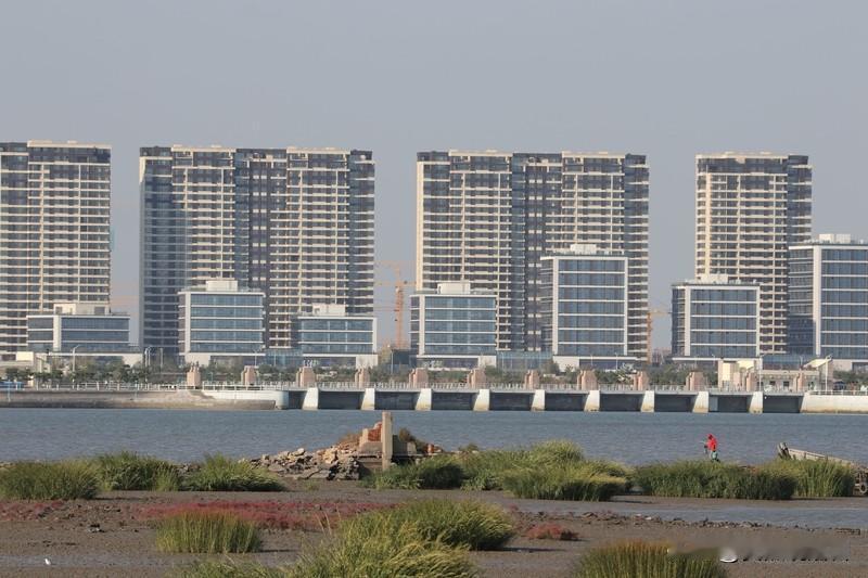 河南一男子花8万网购70平海景房成功过户，这事乍一听，简直是赚翻了！起拍价才11