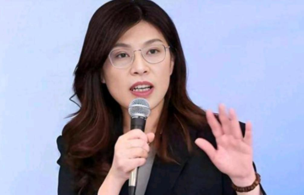 没想到！日本自民党青年局带麻生太郎之子窜台，一路走访岛内蓝绿白各党派高层，唯独在