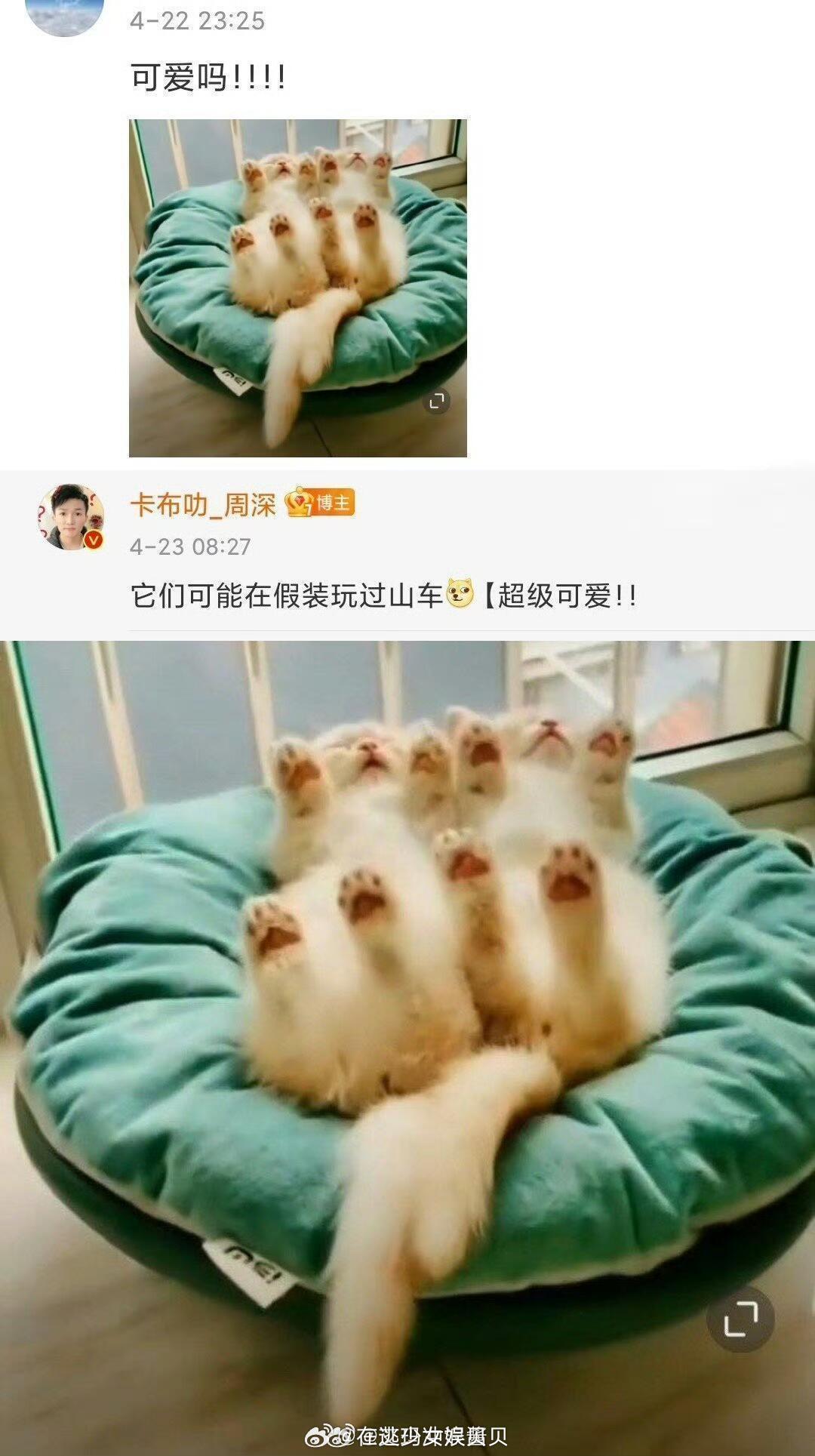 属于周深的童话世界~ 他的回复真的是淡斑精华 