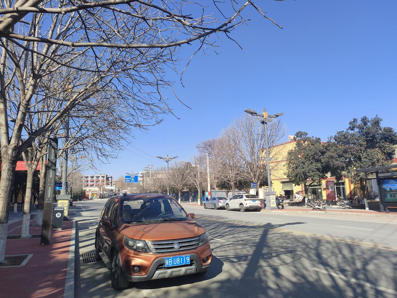 枯枝把蓝天裁成澄澈的画布，车辆碾过的风里，都藏着城市与旷野的低语。
🔵 晴朗如