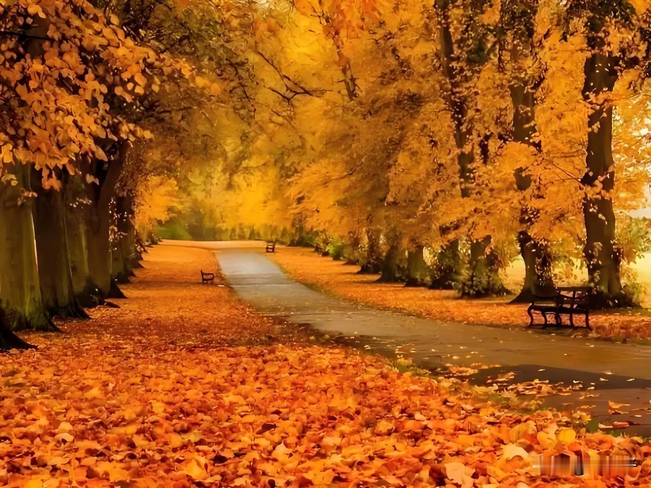 立秋后，北京的天气凉爽宜人。天空变得湛蓝又辽阔，早晚的秋风吹着面庞，让人感觉这个