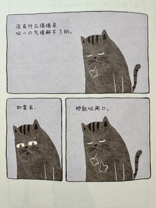 猫咪的生活哲学：说可爱的话也会变可爱哒