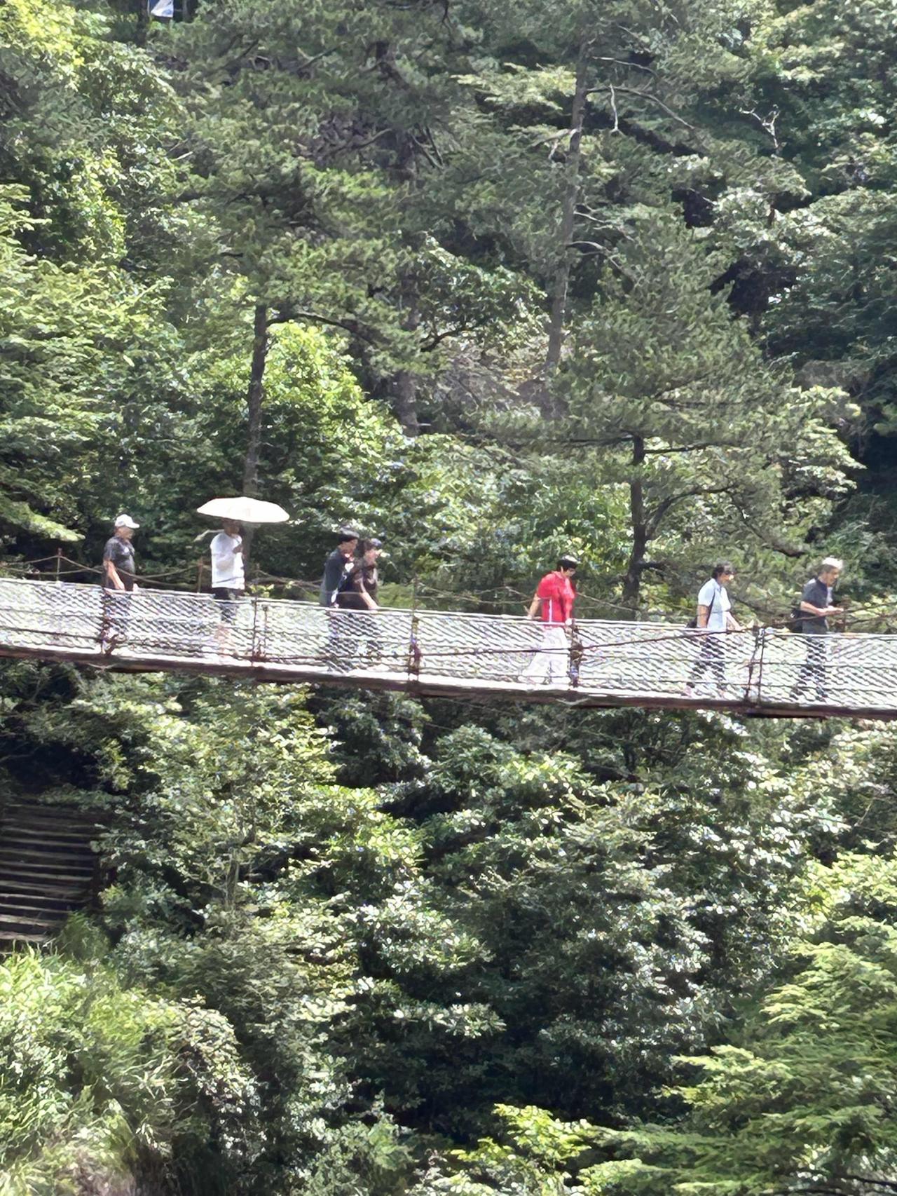 日子不用太匆忙，生活不必太拥挤。