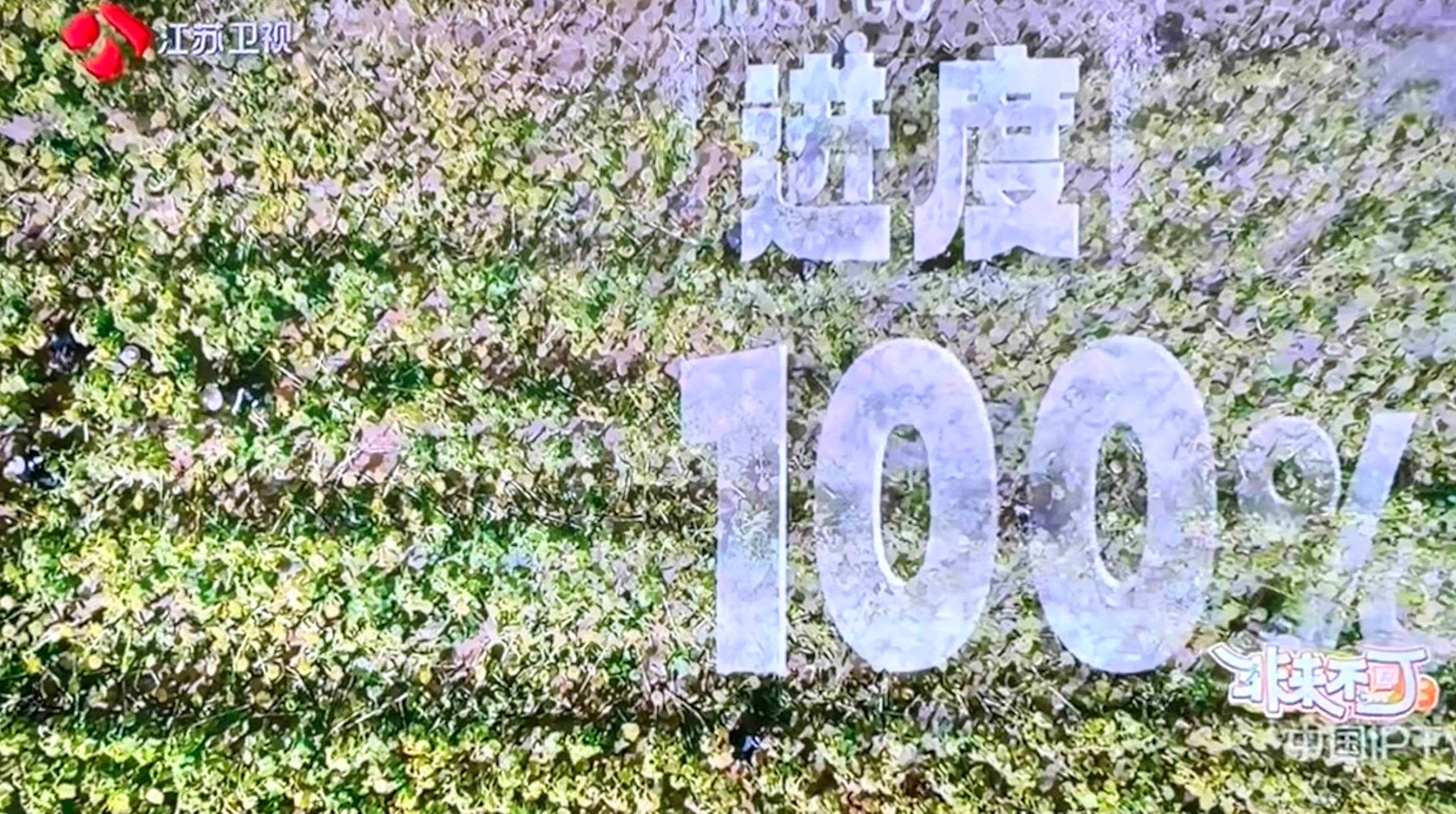 🌻能砍回北京，太解压了。砍向日葵都那么漂亮。杨超越非来不可3杨超越[超话] ​