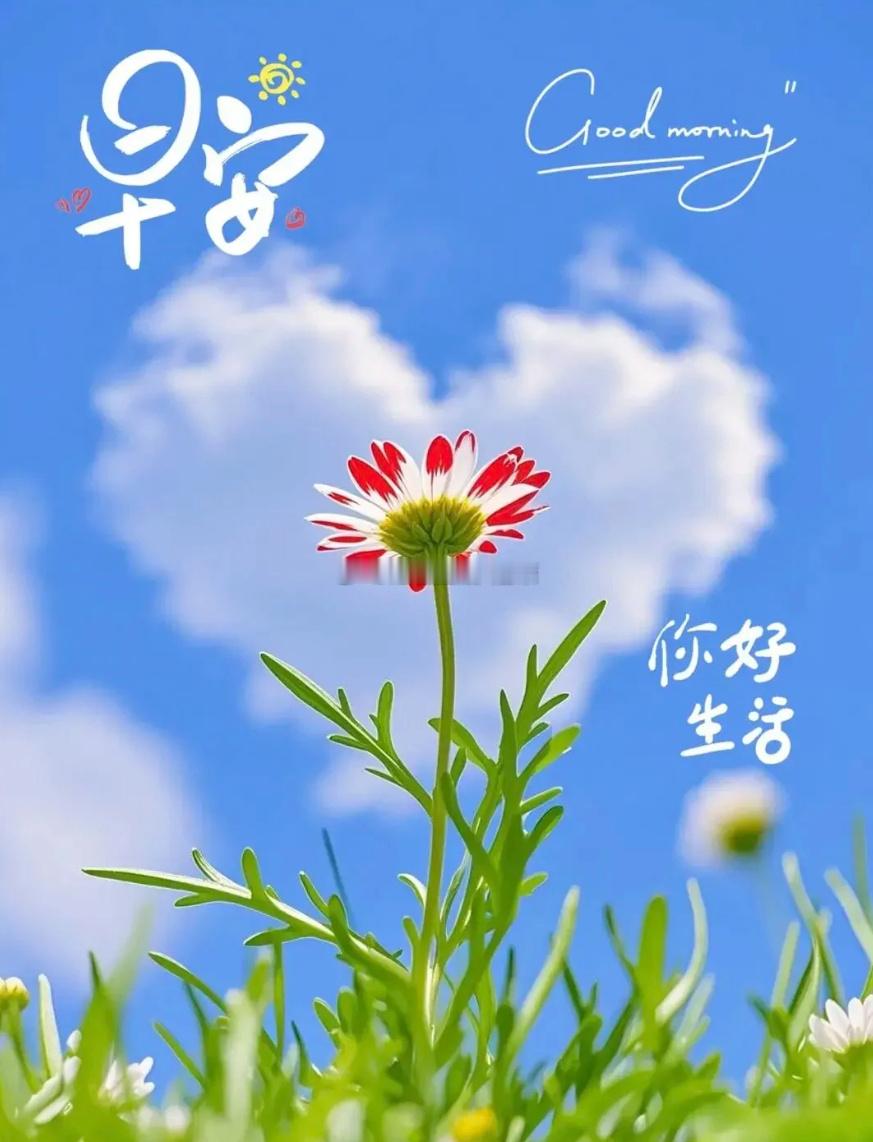 周一 大家早安！摒弃情绪化操作，轻仓、止损、分段止盈牢记于心。不急不躁等候优质趋