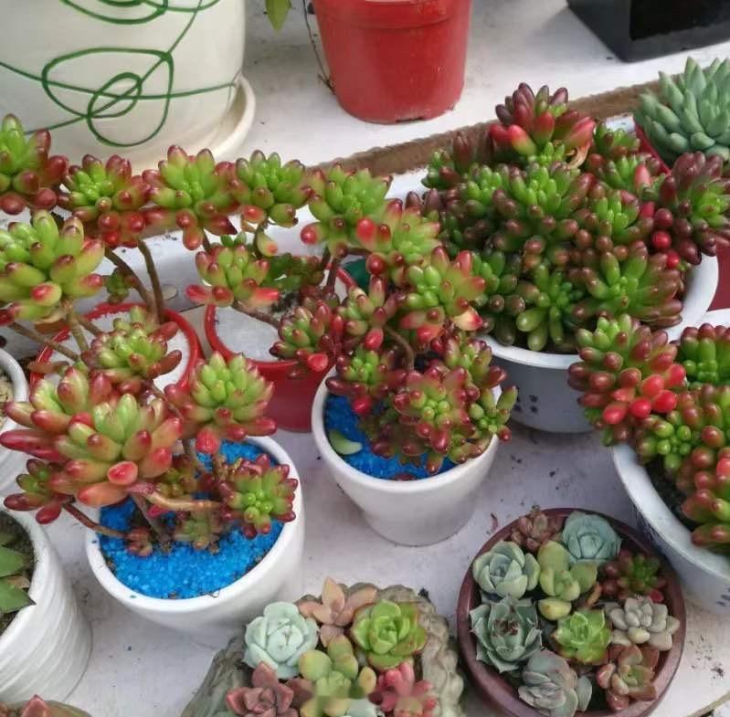 爱情不是轰轰烈烈的誓言，而是平平淡淡的陪伴，愿在最好的年华里，遇到那个和你有着相