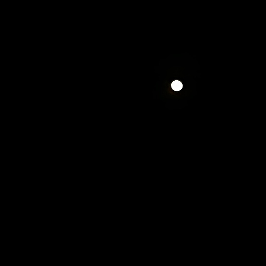 📷记录一下！难得没云，今天的月亮真是又大又圆🌝 