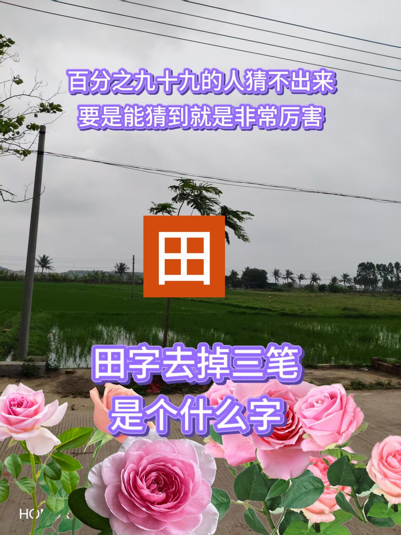 种田小知识 猜字涨知识脑筋急转弯