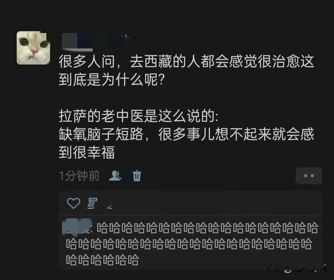 为什么去西藏的人都会感觉很治愈？ ​
所以傻子都很快乐[奸笑]