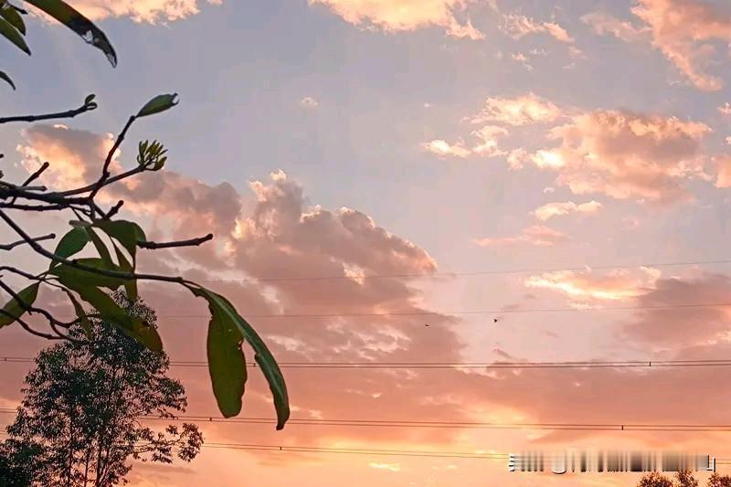 改变第一天
起床打卡：今天我是最棒的，今天我一定会成功，今天我一定会开单