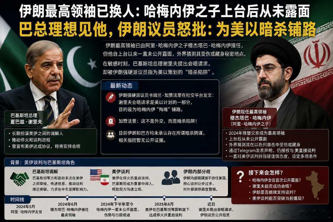 巴基斯坦总理夏巴兹·谢里夫斡旋美伊谈判，想见伊朗最高领袖穆杰塔巴，被伊朗议员怒斥
