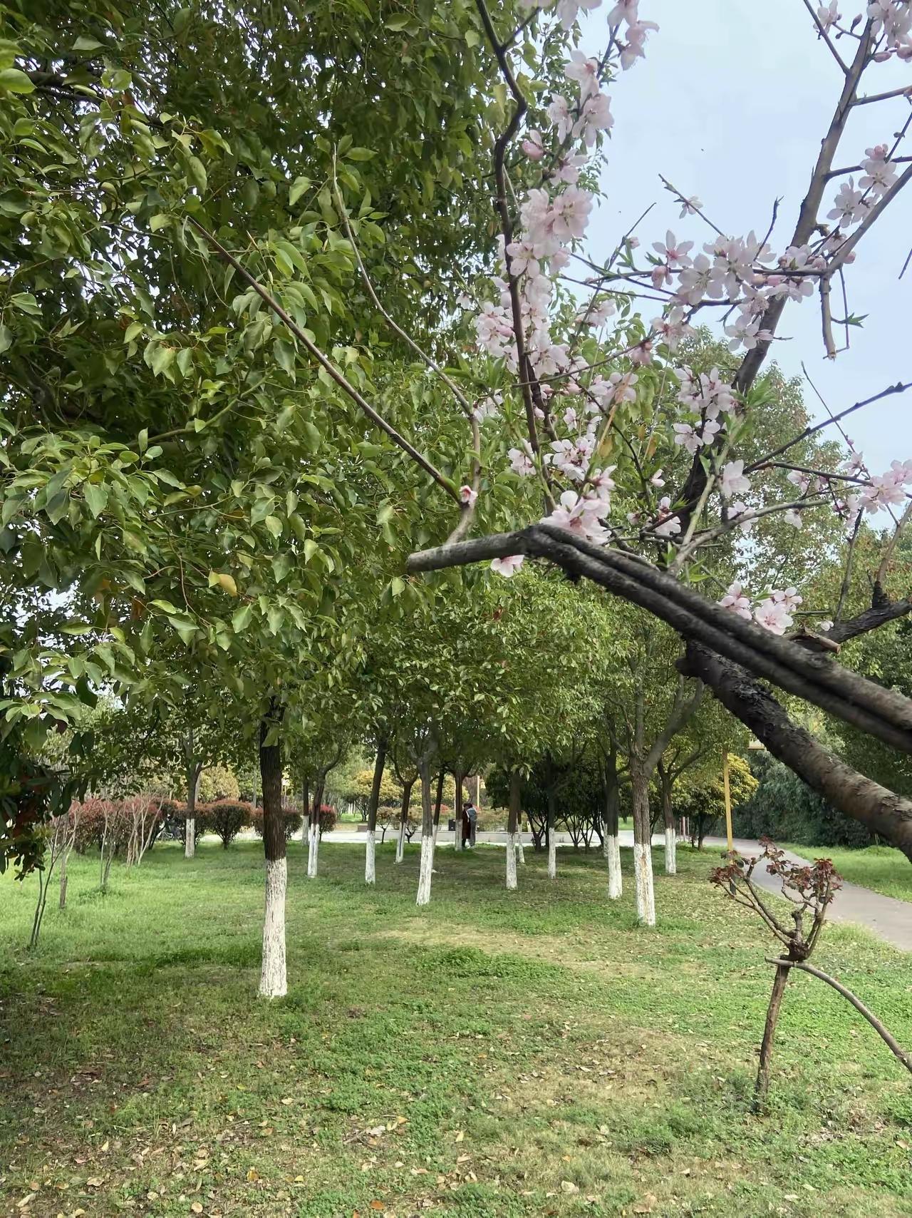 我是70年的，今年刚好56岁。我现在越来越讨厌，被别人打扰。人和人之间，还是保持