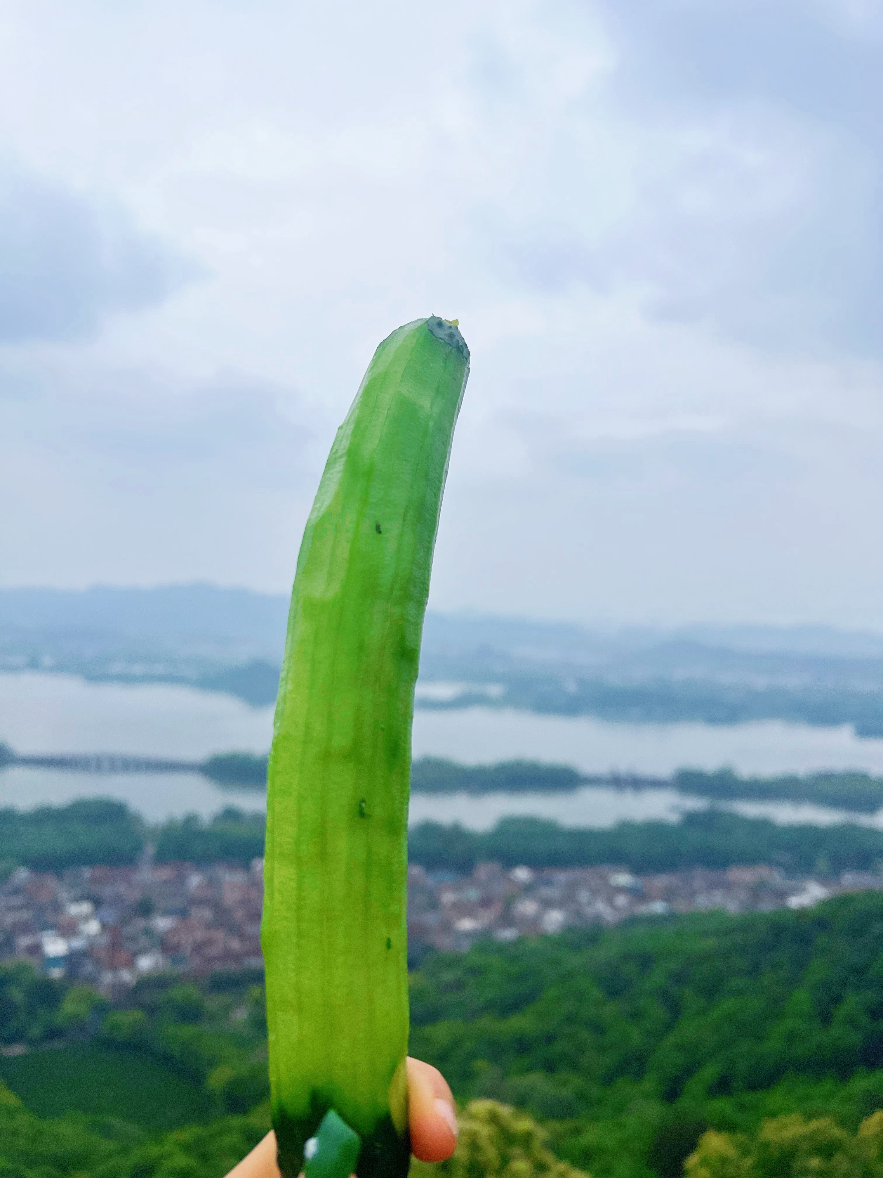 进山即快乐，多多吸氧🍃 ​​​