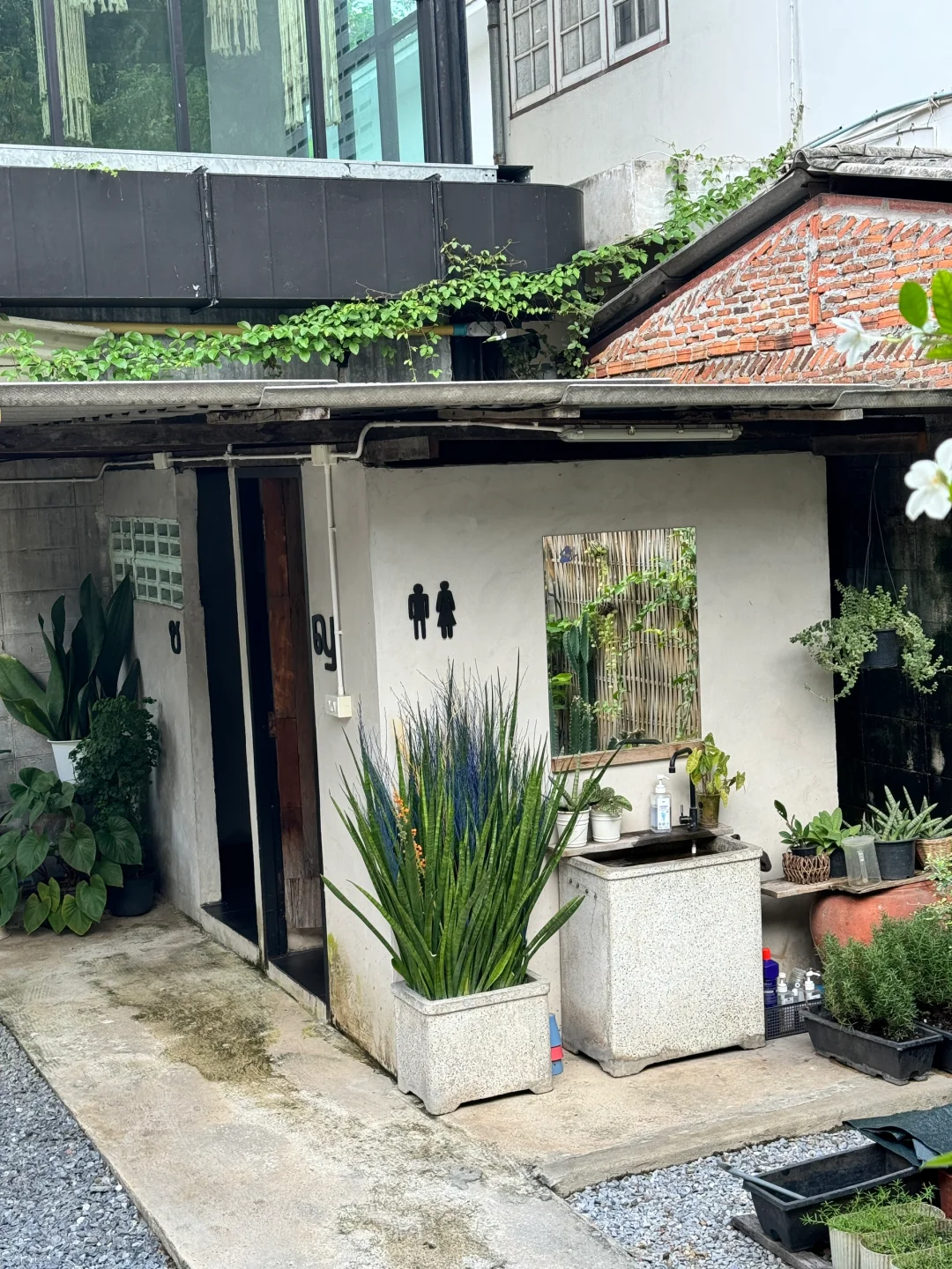 泰国🇹🇭曼谷 想在这个院子里坐着一直发呆