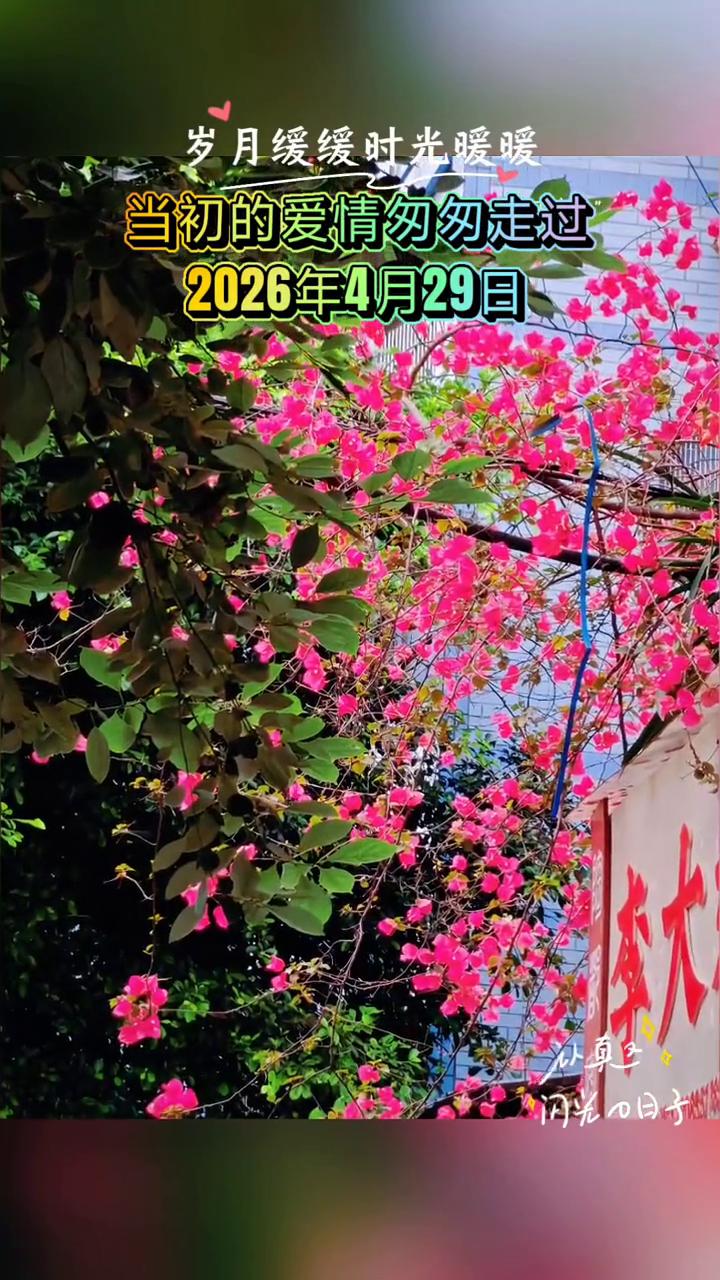 开心就KAcA"把美好寒温镜头"。
闪光日子。
岁月缓缓，时光暖暖。当初的爱情匆