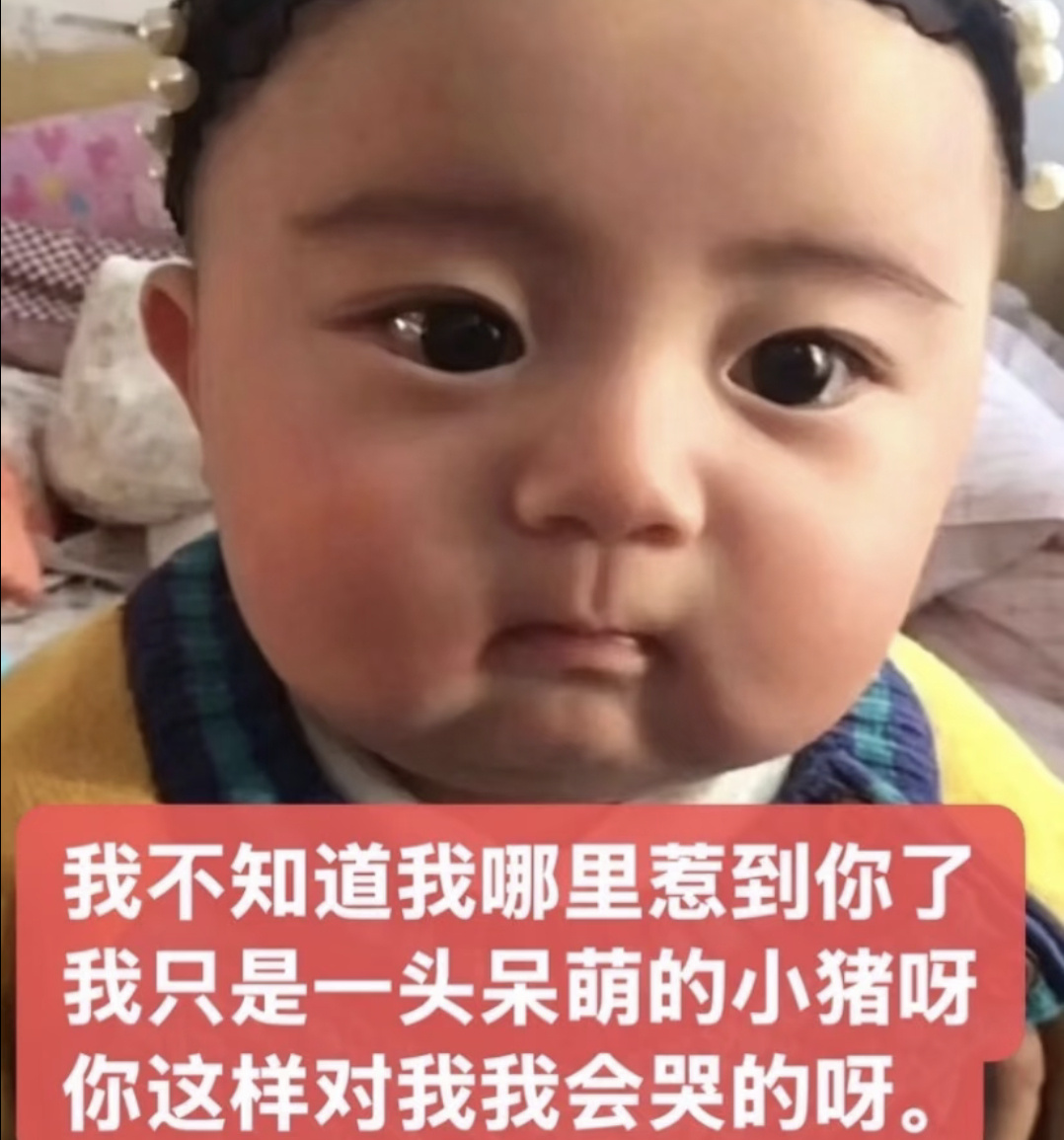 天行禁区 我宝宝墨骨茶 🐷🐷🐷 