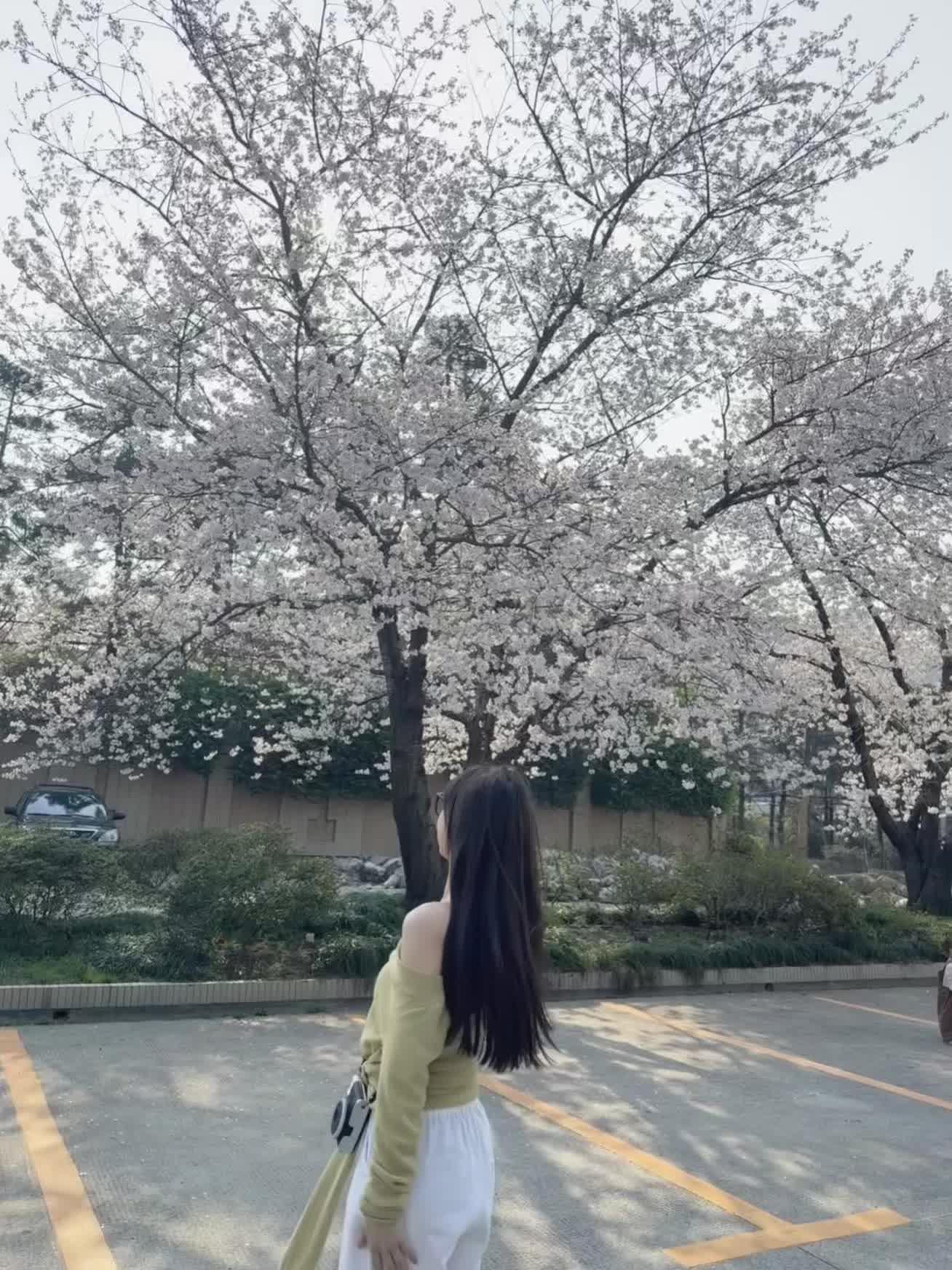 小米又长高了