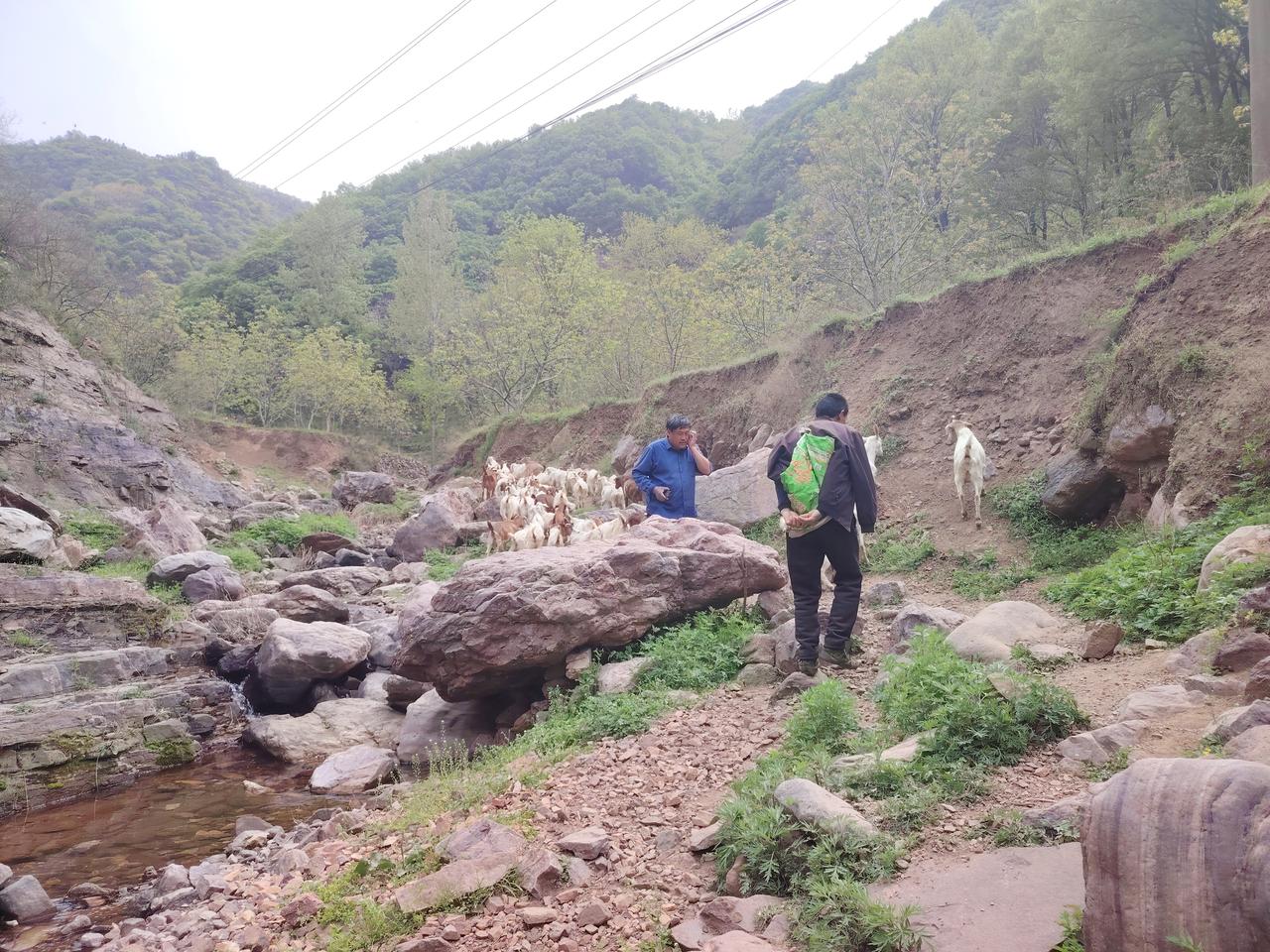 每日一图随手拍汝阳岘山寨子沟