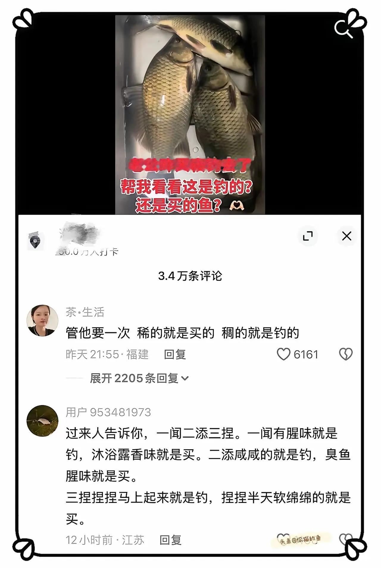 我嘞个乖乖，
网上到处都是人才[捂脸][捂脸][捂脸]
不是，你们咋想出来的？