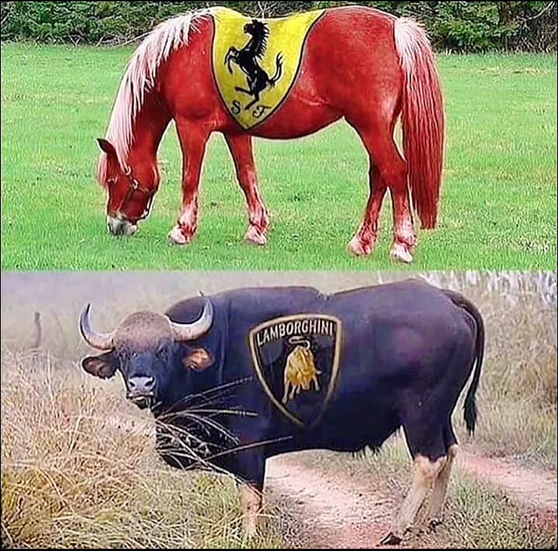 这回你怎么选！