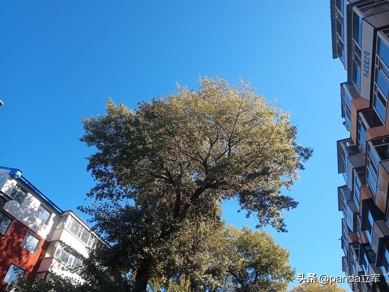 君子爱财取之有道，如果连社保基金都贪，有点不厚道。据说此人还收受企业贿赂，出入私