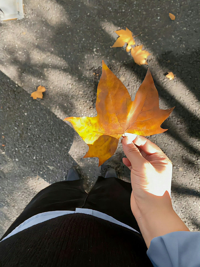 “ 万物四季,秋风物语 ” ​🍁 ​ ​​​