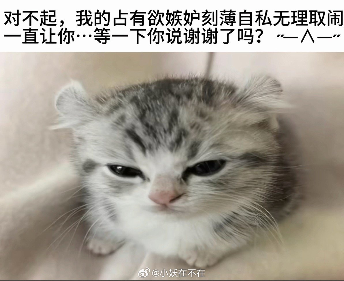 这到底是第几次梦到去泰国被拐卖了…这真的能行吗…所以到底安全不安全呢… 
