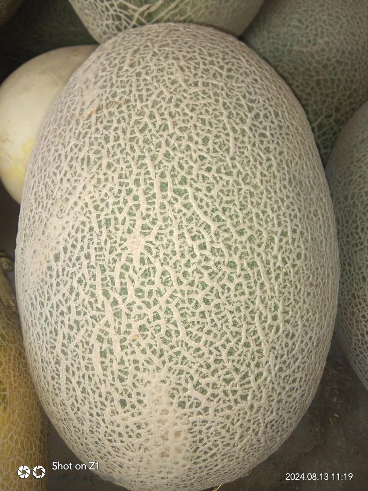 #中秋节你准备怎么过#
每逢中秋，中国人都有望月的习俗。图个团圆，图个幸福，图个