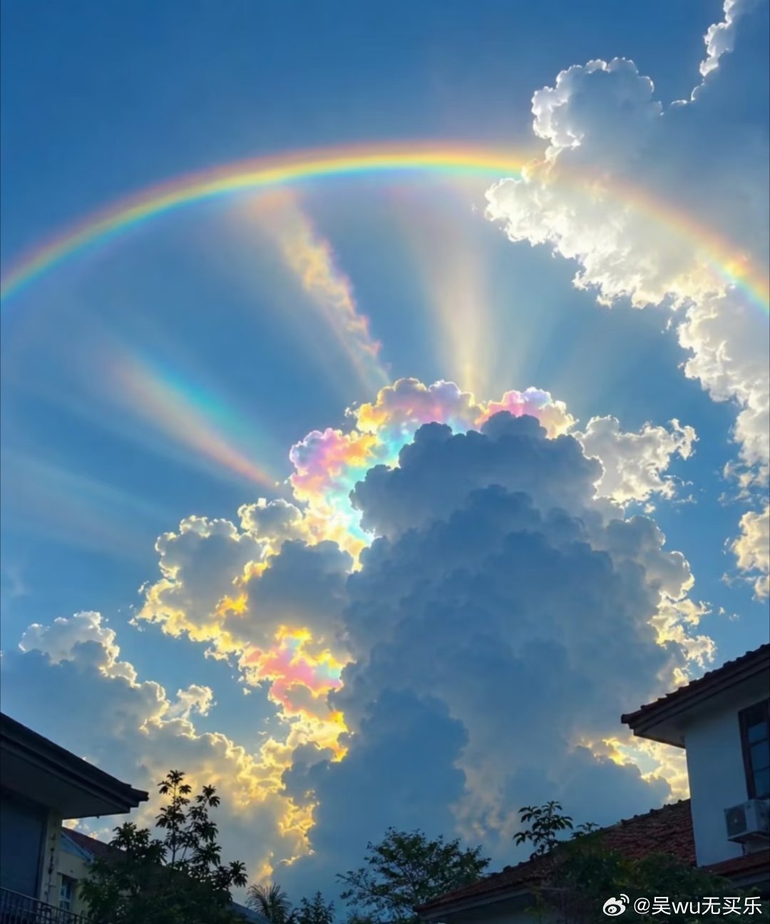 分享图片 ​​​