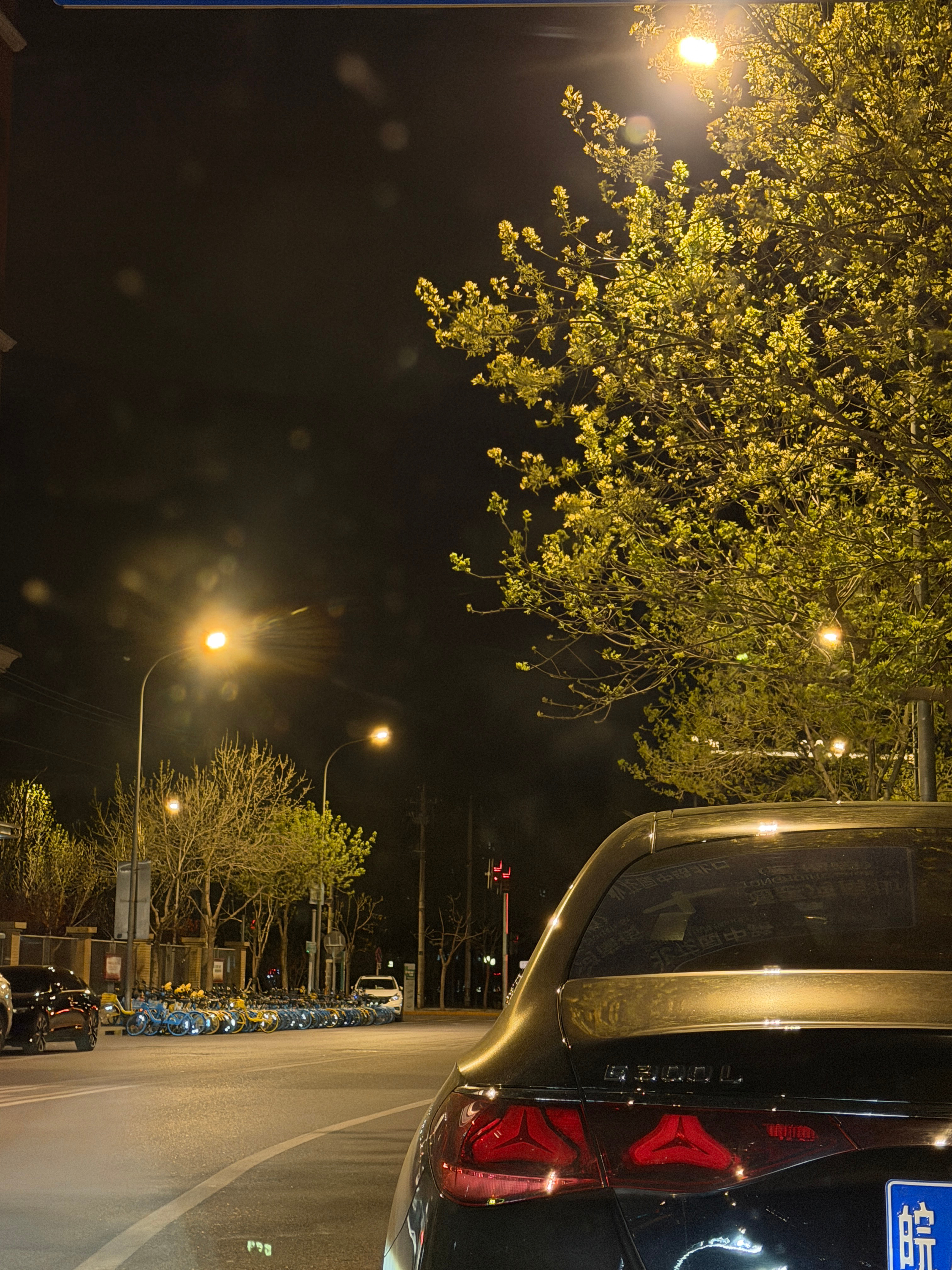 外面刮着大风，我坐在车里开着暖风吃着冰激凌，静静看着窗外摇曳的树叶🍃 