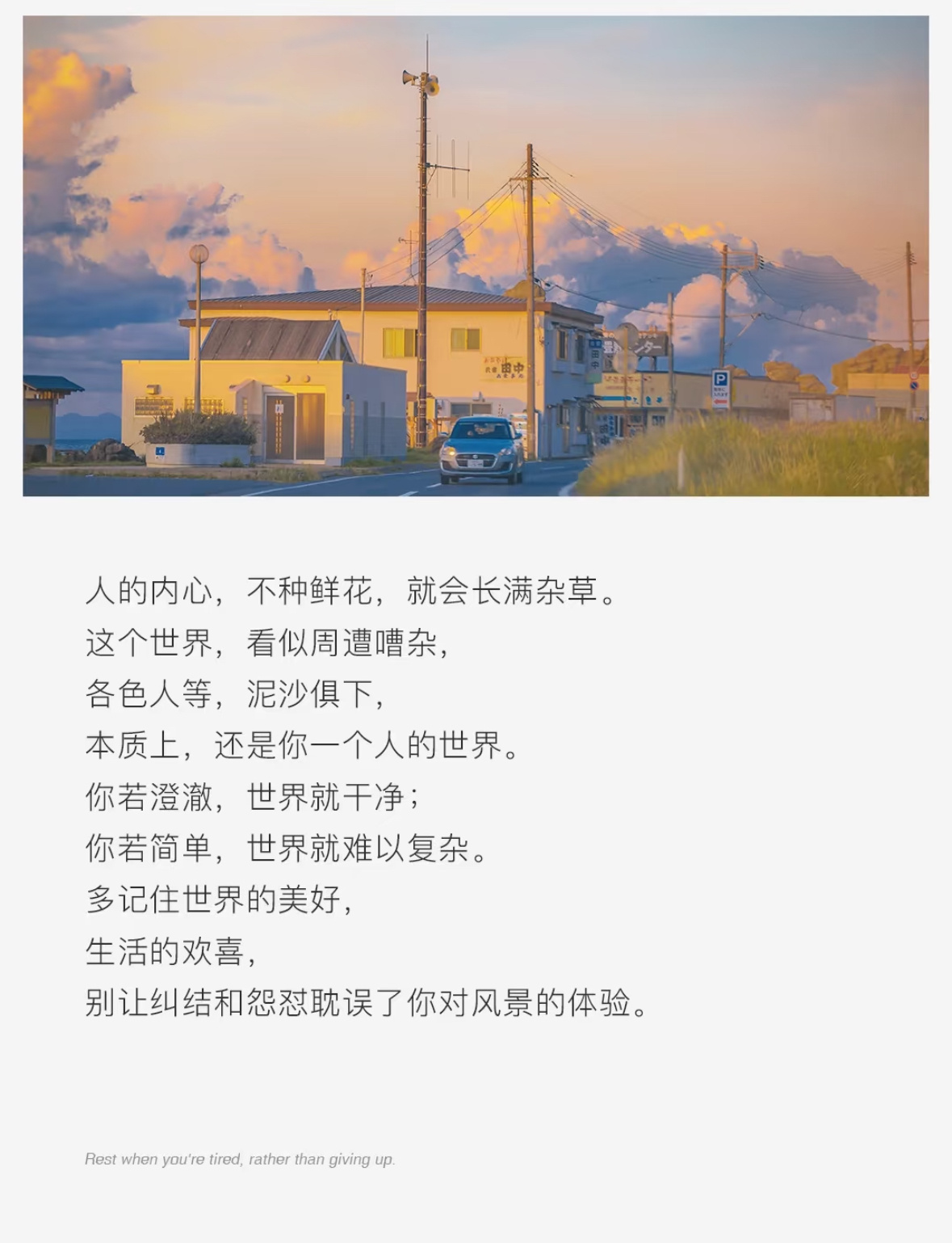 人的内心，不种鲜花，就会长满杂草。这个世界，看似周遭嘈杂，各色人等，泥沙俱下，本