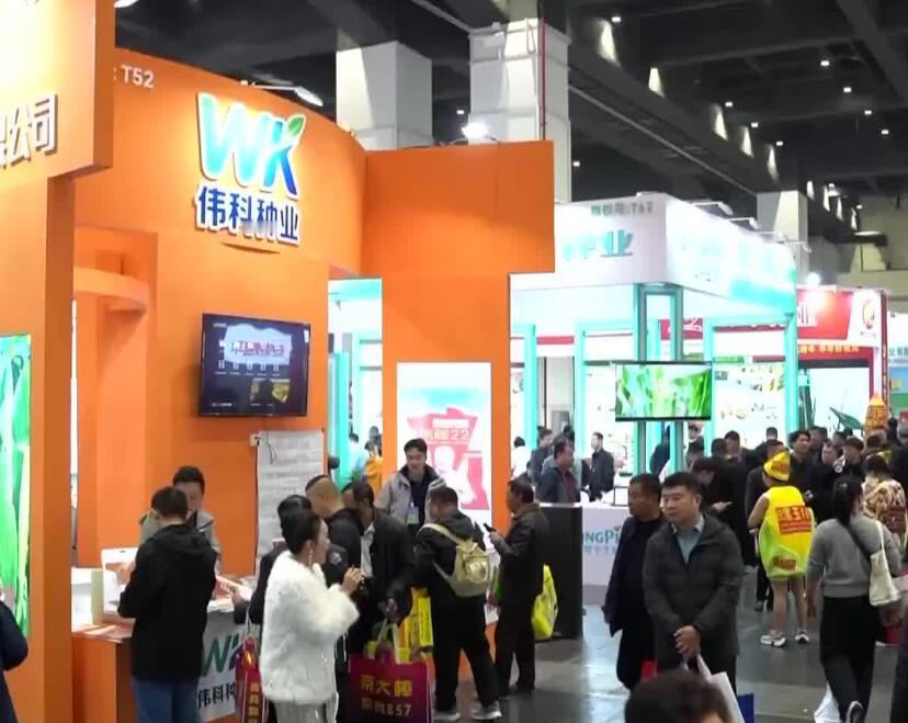 乡镇农资门店老板看过来！金秋选种旺季，来郑州一站式拿下全年爆款货源！2026 河