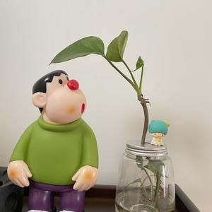八月爱分享