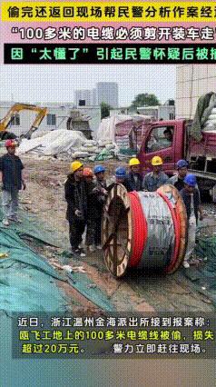 离谱操作！男子偷20万电缆，反倒跑现场帮民警分析案情
 现实版自作聪明上演，浙江