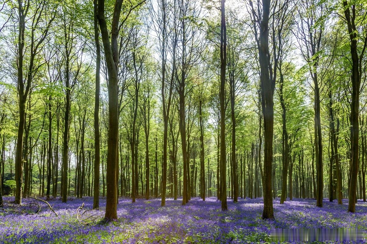 【企业治理三层分配智慧】科学分配是底座。数字精准，账目清晰，老财务是基石。但科学