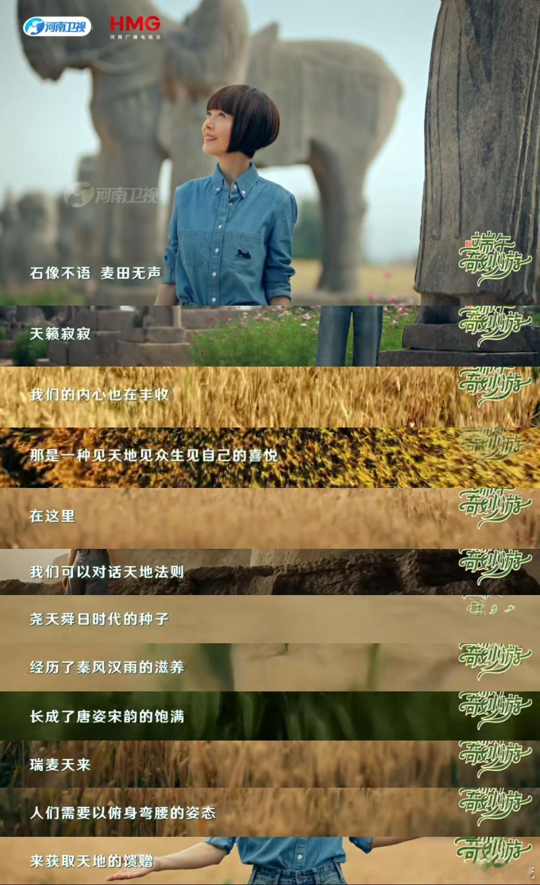 鲁豫这段演讲听哭了看完河南卫视这段麦田独白久久无法平复，扎根土地的真挚情怀是独属