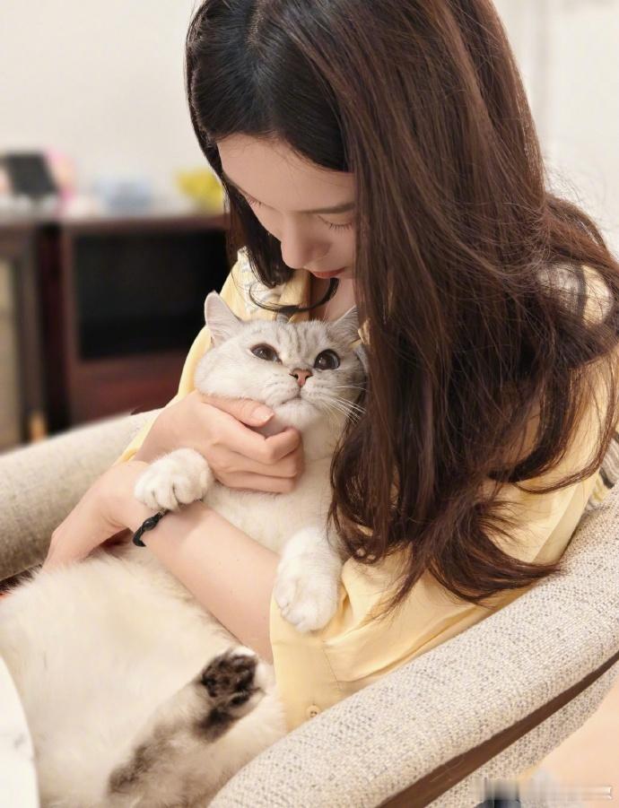 陈瑶猫不出仅展示陈瑶晒小猫自拍 小猫自拍好可爱，猫不出仅展示 ​​​