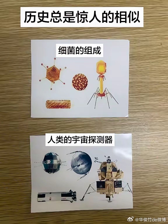 细思极恐，有没有一种可能，大家放开想一下。历史总是惊人的相似，细菌的组成，人类的