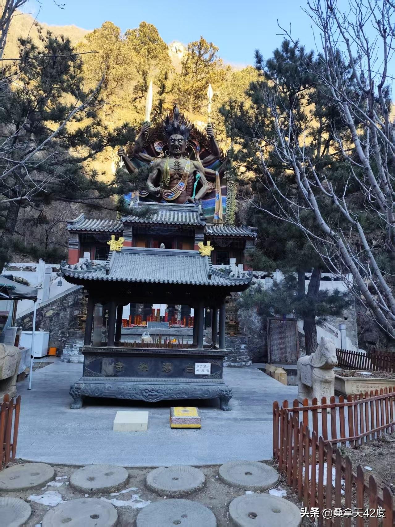 走过半生,回首人生,有何感悟?今年40岁，可谓真是人过半生，因为人混蛋100的不