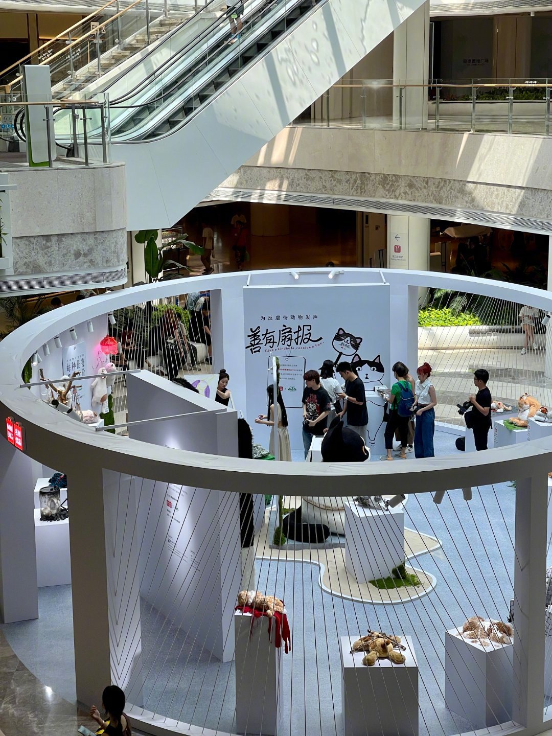 #广州现大量残破玩偶呼吁保护动物#这段时间，看到很多虐猫虐狗的新闻真的很无助……