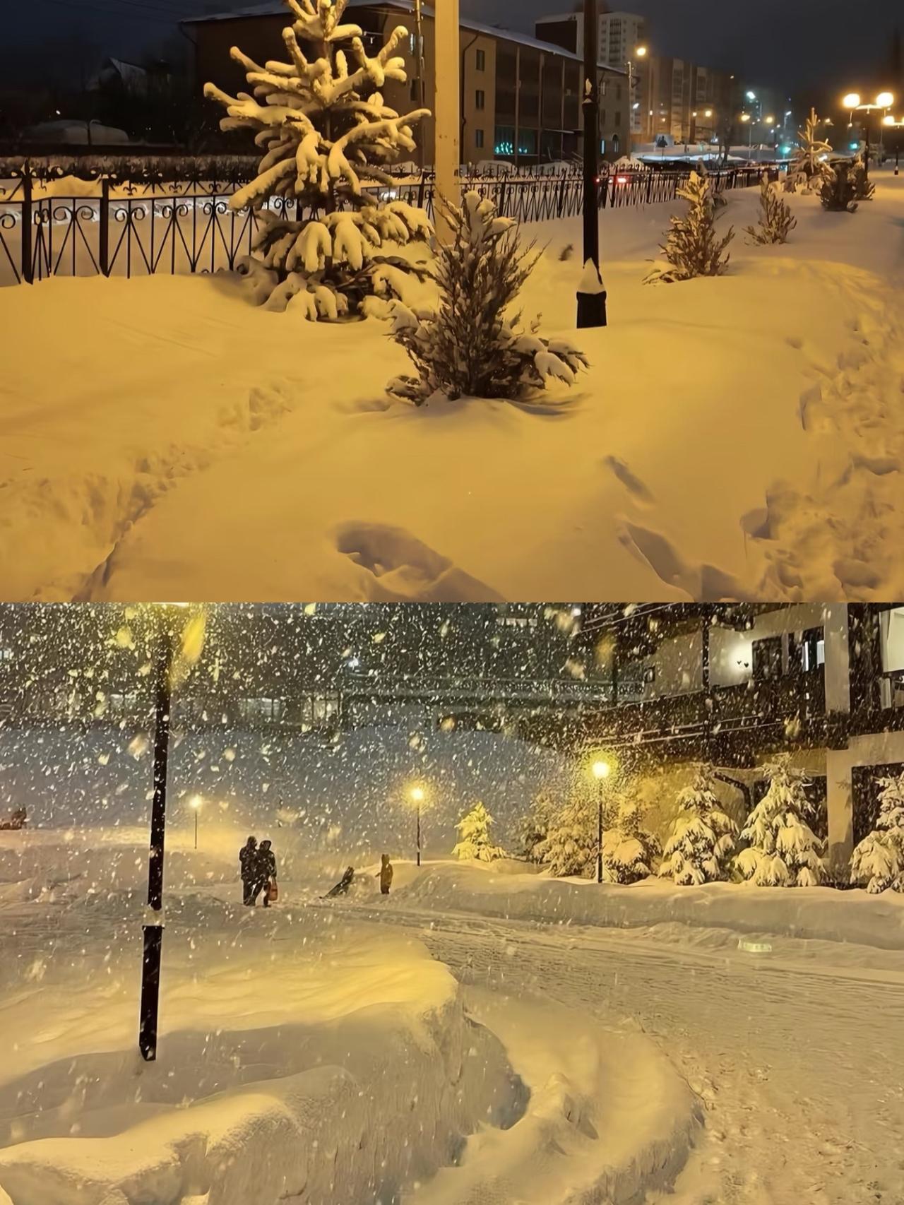 紧急通知，

提醒大家，

从今天起到1月25号，共2周，可不是闹着玩的。因为这