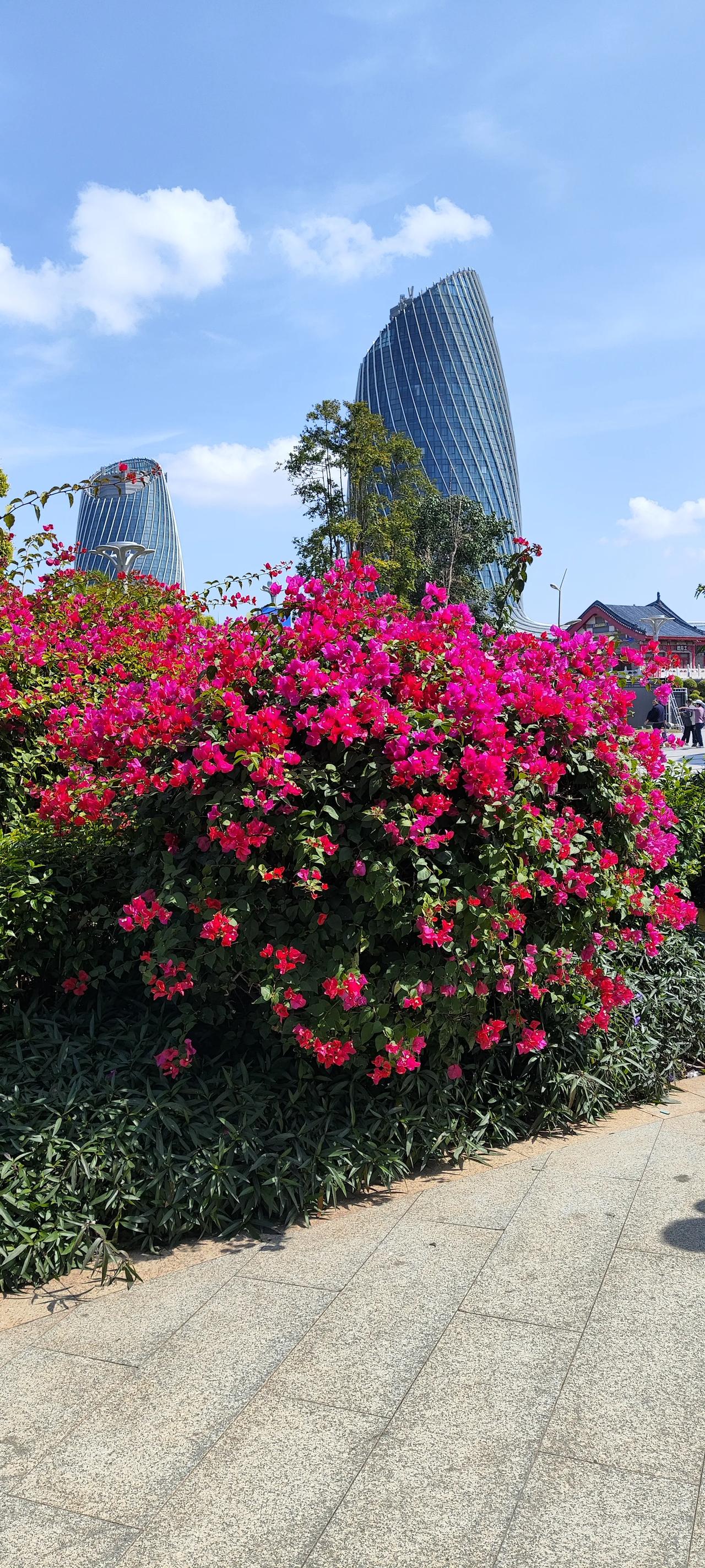 花开花落几时休，繁华如梦映高楼。