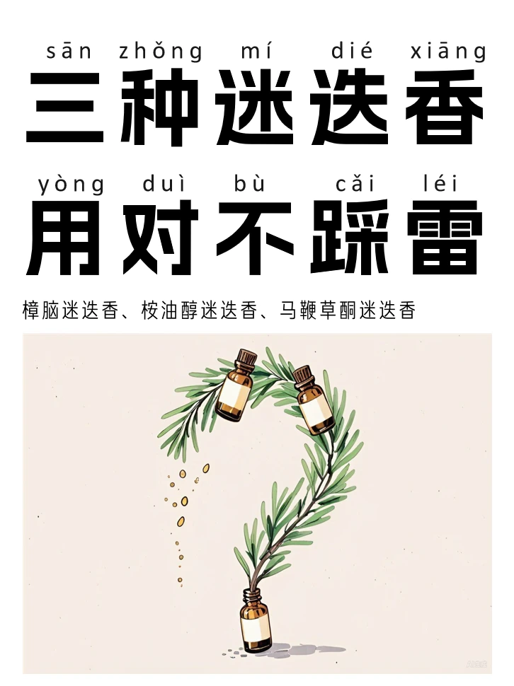 不是所有迷迭香都能涂脸! 选错会"发芽"🌱