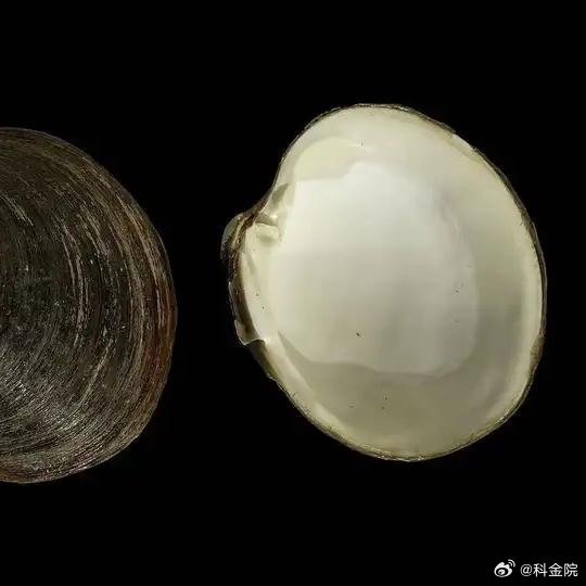 《深度长文：为什么人类不能永生？因为我们选择了“性”！》在日常生活中，我们总会被